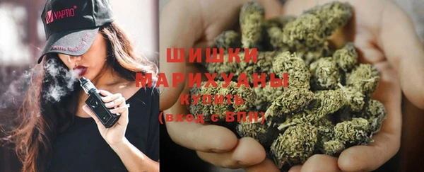 шишки Алексеевка