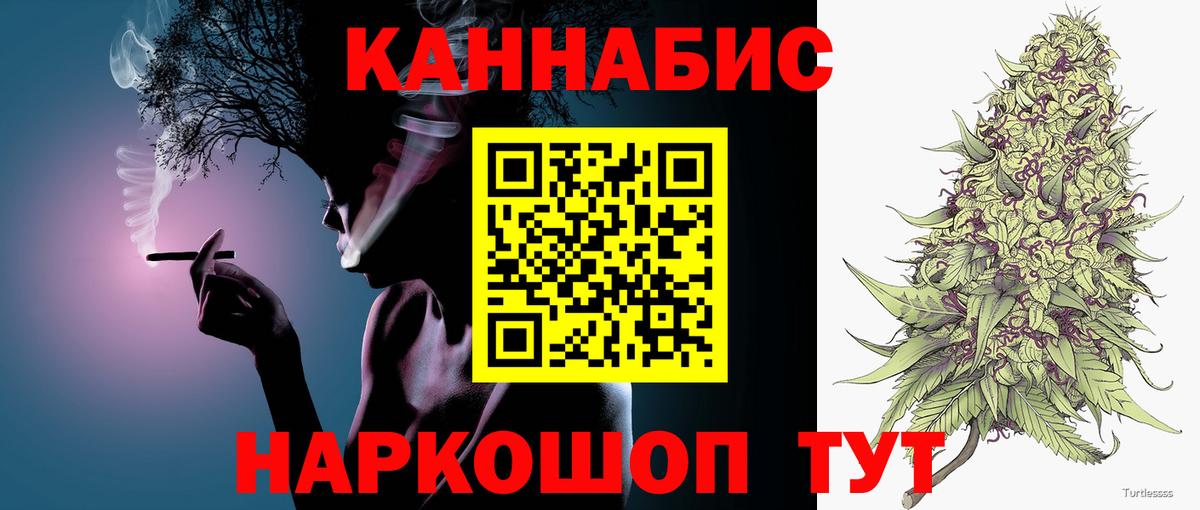 Каннабис сатива Петрозаводск